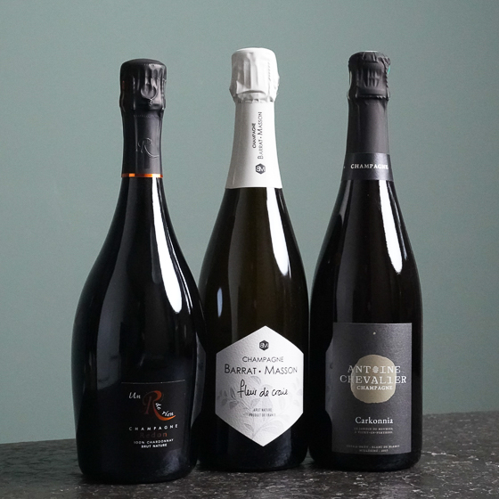 Champagner Verkostungspaket 2.2 zum Sonderpreis - Chardonnay der Extraklasse - 3 Flaschen 0,75 ltr.