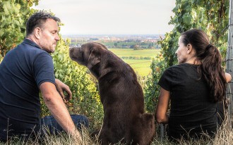Weingut Meßmer, Herbert