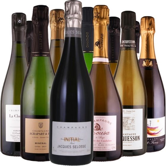 Selosse & Co. - die neue Champagner Elite - 12 Flaschen 0,75 ltr.