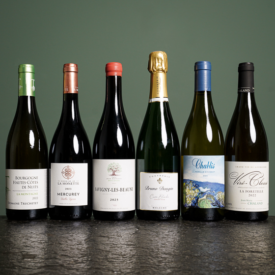 6er Neuheiten aus dem Burgund 6er Neuheiten aus dem Burgund