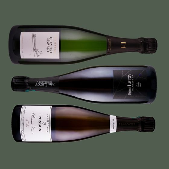 Champagner für Einsteiger - 3 Flaschen 0,75 ltr.