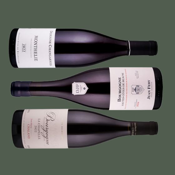 Rote Burgunder - unsere Geheimtipps aus dem Burgund 