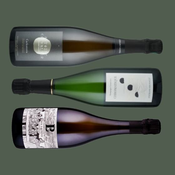 Champagner Blanc de Blancs in Reinform - 3 Flaschen 0,75 ltr.