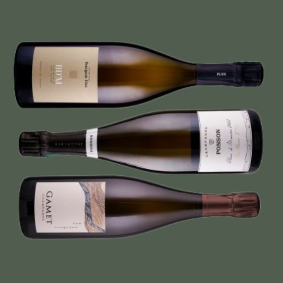 Champagner Blanc de Noirs aus Meunier - 3 Flaschen 0,75 ltr.