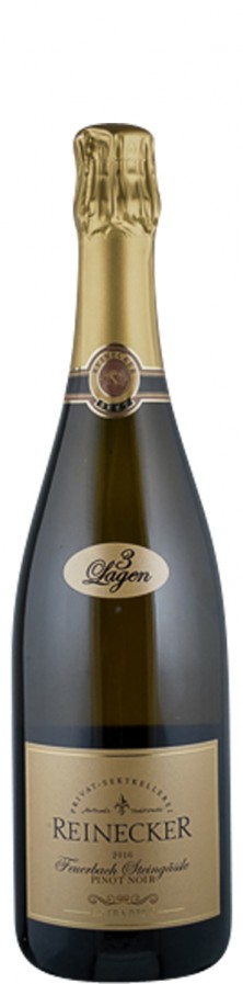 Sekt extra brut Pinot Noir Feuerbach Steingässle 2016 - Reinecker Sekt extra brut Pinot Noir Feuerbach Steingässle 2016 - Reinecker