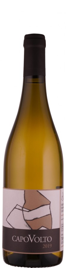 Verdicchio dei Castelli di Jesi, Classico Superiore Capovolto 2019 Biowein - IT-BIO-013 - La Marca di San Michele
