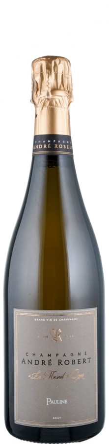 Champagne extra brut Pauline - Les vignes de Montigny   - Robert, André