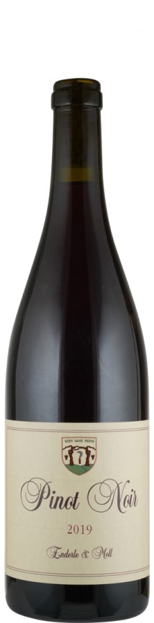 Pinot Noir "Basis" 2020 - Enderle & Moll Pinot Noir "Basis" 2020 - Enderle & Moll