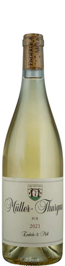 Müller-Thurgau pur 2021 - Enderle & Moll Müller-Thurgau pur 2021 - Enderle & Moll