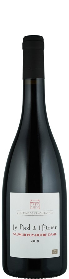 Saumur rouge Pied à l'Etrier Biowein - FR-BIO-01