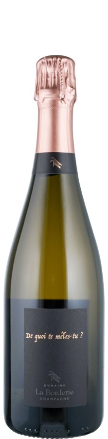 Champagne Blanc de Noirs brut nature De quoi te mêles-tu? 2020 - La Borderie Champagne Blanc de Noirs brut nature De quoi te mêles-tu? 2020 - La Borderie