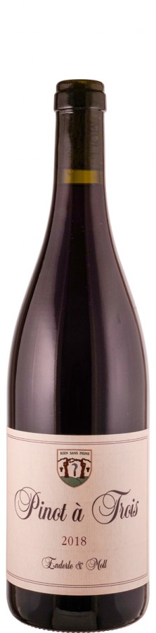 Pinot Noir Pinot à trois 2022  - Enderle &amp; Moll
