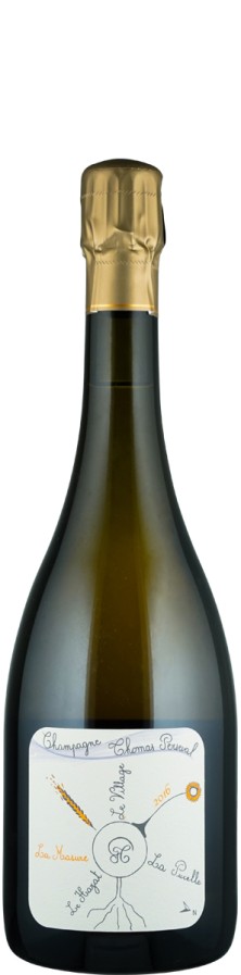 Champagne Millésime Blanc de Noirs brut nature Lieu Dit La Masure 2016 Biowein - FR-BIO-01 - Perseval, Thomas Champagne Millésime Blanc de Noirs brut nature Lieu Dit La Masure 2016 Biowein - FR-BIO-01 - Perseval, Thomas