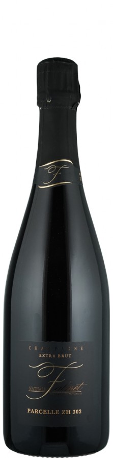 Champagne Blanc de Noirs extra brut Parcelle ZH 302 2012  - Falmet, Nathalie