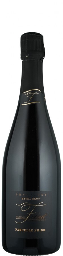 Champagne Blanc de Noirs extra brut Parcelle ZH 302 2012 - Falmet, Nathalie
