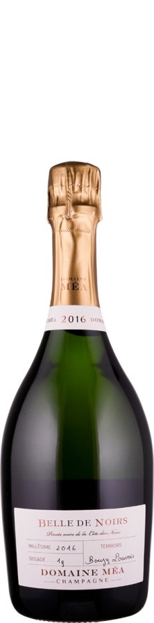 Champagne Millésime Blanc de Noirs extra brut Belle de Noirs 2016 - Domaine Méa Champagne Millésime Blanc de Noirs extra brut Belle de Noirs 2016 - Domaine Méa