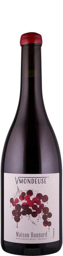 Mondeuse de Montagnieu Racine de Mondeuse 2022 Biowein - FR-BIO-15 - Maison Bonnard