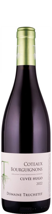 Côteaux Bourguignons Cuvée Hugo 2022 - Domaine Truchetet Côteaux Bourguignons Cuvée Hugo 2022 - Domaine Truchetet