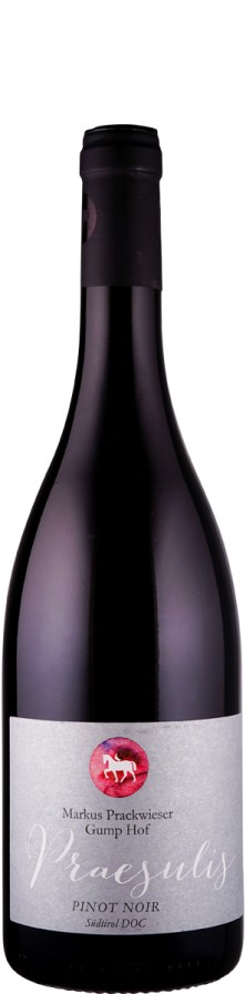 Pinot Noir Praesulis 2022 - Gump Hof - Markus Prackwieser Pinot Noir Praesulis 2022 - Gump Hof - Markus Prackwieser