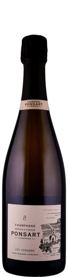 Champagne Blanc de Blancs extra brut Les Vergers 2018 - Ponsart, Baptiste und Charles Champagne Blanc de Blancs extra brut Les Vergers 2018 - Ponsart, Baptiste und Charles