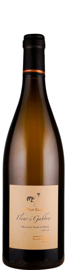 Muscadet Sèvre et Maine sur lie Fleur de Gabbro 2022 - La Tour Gallus Muscadet Sèvre et Maine sur lie Fleur de Gabbro 2022 - La Tour Gallus