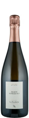 Champagne Blanc de Noirs extra brut 'De quoi te mêles-tu?'   La Borderie für den Preis von 54,20€